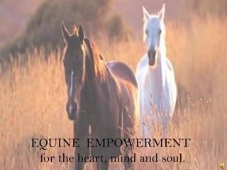 EQUINE  EMPOWERMENT     for the heart, mind and soul. 