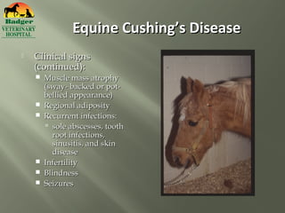 Equine Cushing’s Disease
   Clinical signs
    (continued):
       Muscle mass atrophy
        (sway- backed or pot-
        bellied appearance)
       Regional adiposity
       Recurrent infections:
         sole abscesses, tooth
          root infections,
          sinusitis, and skin
          disease
       Infertility
       Blindness
       Seizures
 
