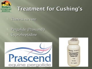 Treatment for Cushing’s
   There is no cure

   Pergolide (Prascend®)
   Cyproheptadine
 