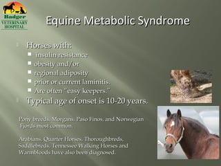 Equine Metabolic Syndrome
     Horses with:
           insulin resistance
          obesity and/or
          regional adiposity
          prior or current laminitis.
          Are often “easy keepers.”
     Typical age of onset is 10-20 years.

    Pony breeds, Morgans, Paso Finos, and Norwegian
    Fjords most common.

    Arabians, Quarter Horses, Thoroughbreds,
    Saddlebreds, Tennessee Walking Horses and
    Warmbloods have also been diagnosed.
 
