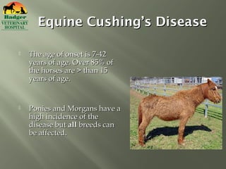 Equine Cushing’s Disease

   The age of onset is 7-42
    years of age. Over 85% of
    the horses are > than 15
    years of age.


   Ponies and Morgans have a
    high incidence of the
    disease but all breeds can
    be affected.
 