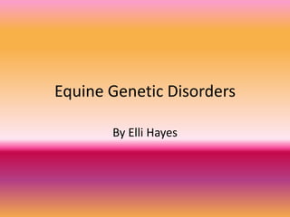 Equine Genetic Disorders

       By Elli Hayes
 