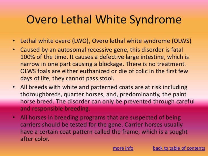 Rare Genetic Condition The Horse With No Neck - aev19jx