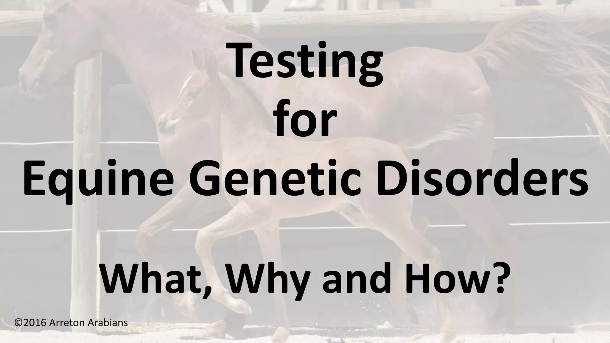 Testing for Equine Disorders. What, Why & How? PPT
