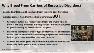 ©2016 Arreton Arabians
Genetic disorders could be excluded from the gene pool if breeders
excluded carriers from their breeding programmes BUT
• Carriers of autosomal recessive conditions are physiologically
normal and only identified as being ‘flawed’ if they are subjected
to genetic testing (or breed affected progeny).
• Many fine examples of true to type and form mares and stallions
would then be excluded from breeding programmes, and already
limited gene pools would become even more so.
• As more and more genes are identified it is possible that we will
eventually find a genetic ‘flaw’ in every horse tested.
Why Breed From Carriers of Recessive Disorders?
Waiting for the perfect horse?
 