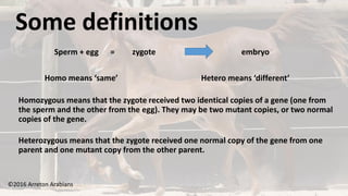 ©2016 Arreton Arabians
Sperm + egg = zygote embryo
Homo means ‘same’ Hetero means ‘different’
Homozygous means that the zygote received two identical copies of a gene (one from
the sperm and the other from the egg). They may be two mutant copies, or two normal
copies of the gene.
Heterozygous means that the zygote received one normal copy of the gene from one
parent and one mutant copy from the other parent.
Some definitions
 