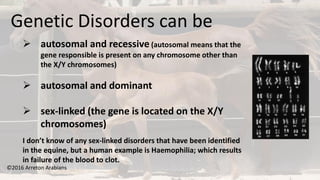 ©2016 Arreton Arabians
Genetic Disorders can be
 autosomal and recessive (autosomal means that the
gene responsible is present on any chromosome other than
the X/Y chromosomes)
 autosomal and dominant
 sex-linked (the gene is located on the X/Y
chromosomes)
I don’t know of any sex-linked disorders that have been identified
in the equine, but a human example is Haemophilia; which results
in failure of the blood to clot.
 