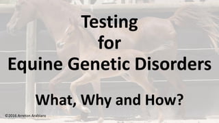 Testing
for
Equine Genetic Disorders
What, Why and How?
©2016 Arreton Arabians
 