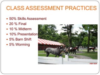 3 – a photo copy of your insurance card both front and back