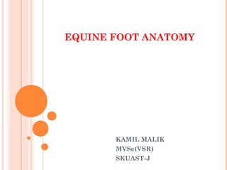 EQUINE FOOT ANATOMY

KAMIL MALIK
MVSc(VSR)
SKUAST-J

 