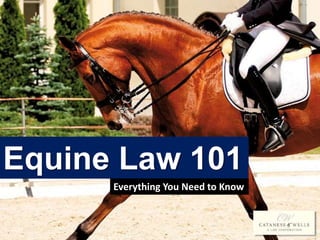 Equine Law 101
Everything You Need to Know
 