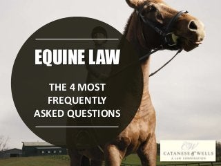 EQUINE LAW
THE 4 MOST
FREQUENTLY
ASKED QUESTIONS
 