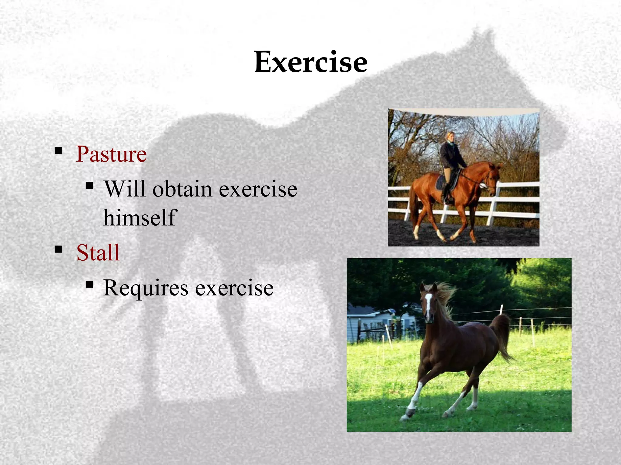 Exercise
 Pasture
 Will obtain exercise
himself
 Stall
 Requires exercise
 