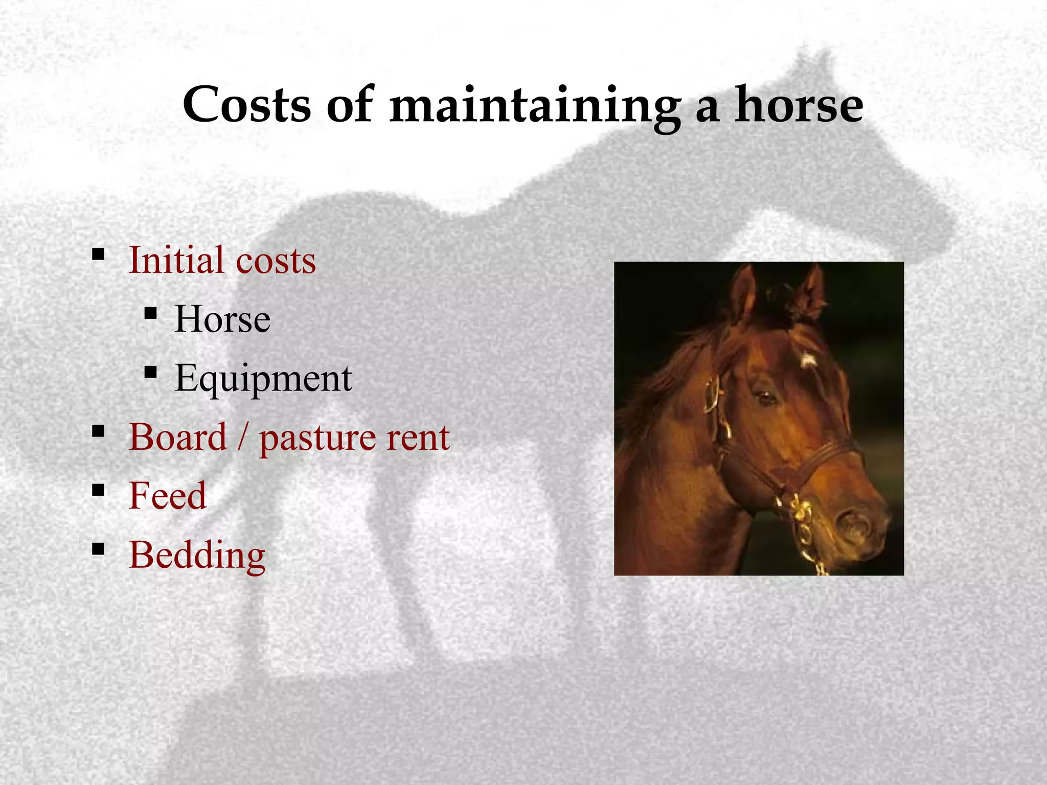 Costs of maintaining a horse
 Initial costs
 Horse
 Equipment
 Board / pasture rent
 Feed
 Bedding
 
