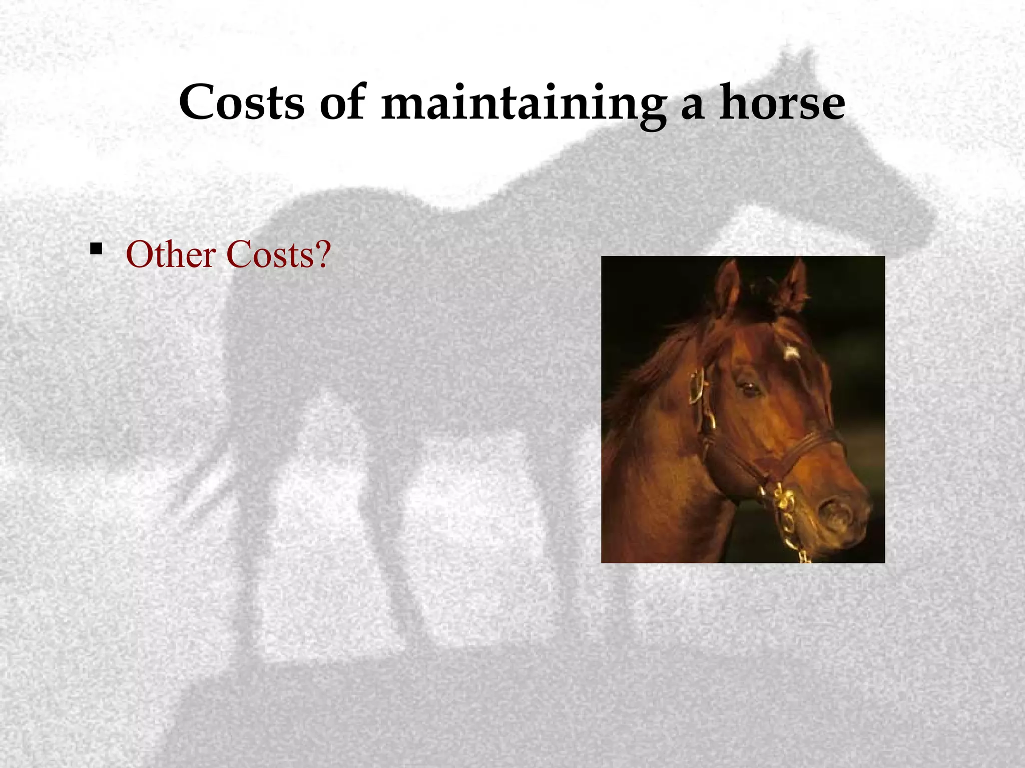 Costs of maintaining a horse
 Other Costs?
 