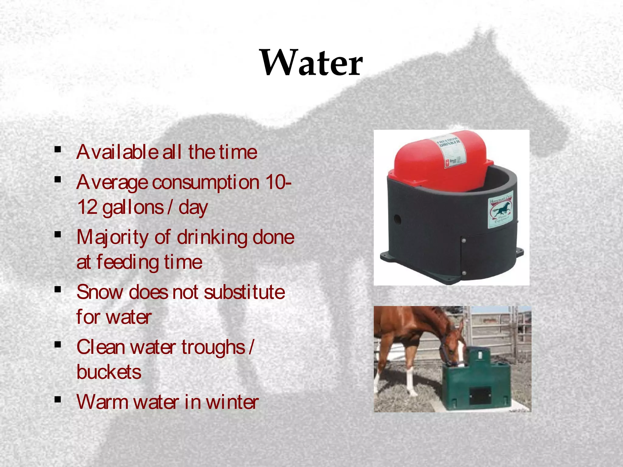 Water
 Availableall thetime
 Averageconsumption 10-
12 gallons/ day
 Majority of drinking done
at feeding time
 Snow doesnot substitute
for water
 Clean water troughs/
buckets
 Warm water in winter
 