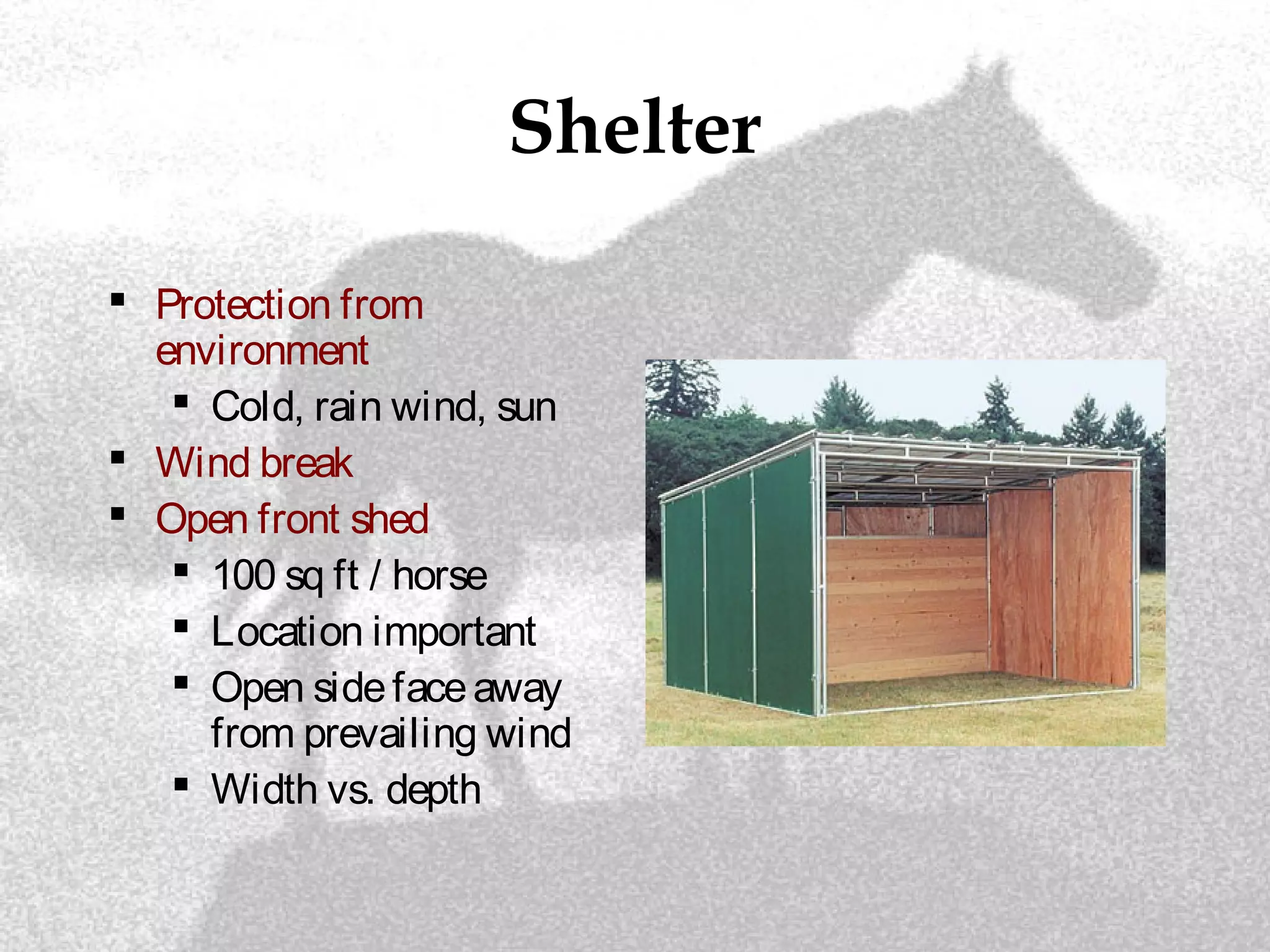 Shelter
 Protection from
environment
 Cold, rain wind, sun
 Wind break
 Open front shed
 100 sq ft / horse
 Location important
 Open sidefaceaway
from prevailing wind
 Width vs. depth
 