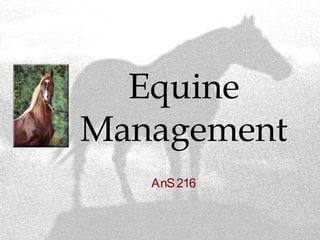 Equine
Management
AnS216
 