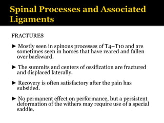 Equine med power point presentation | PPTX