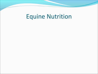 Equine Nutrition
 