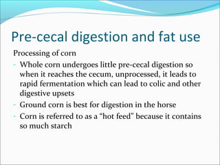 Pre-cecal digestion and fat use
Processing of corn
- Whole corn undergoes little pre-cecal digestion so
when it reaches the cecum, unprocessed, it leads to
rapid fermentation which can lead to colic and other
digestive upsets
- Ground corn is best for digestion in the horse
- Corn is referred to as a “hot feed” because it contains
so much starch
 