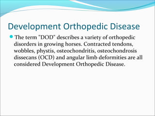 Development Orthopedic Disease
The term "DOD" describes a variety of orthopedic
disorders in growing horses. Contracted tendons,
wobbles, phystis, osteochondritis, osteochondrosis
dissecans (OCD) and angular limb deformities are all
considered Development Orthopedic Disease.
 