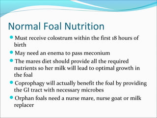 Normal Foal Nutrition
Must receive colostrum within the first 18 hours of
birth
May need an enema to pass meconium
The mares diet should provide all the required
nutrients so her milk will lead to optimal growth in
the foal
Coprophagy will actually benefit the foal by providing
the GI tract with necessary microbes
Orphan foals need a nurse mare, nurse goat or milk
replacer
 