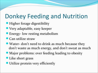 Donkey Feeding and Nutrition
Higher forage digestibility
Very adaptable, easy keeper
Energy- low resting metabolism
Can utilize straw
Water- don’t need to drink as much because they
don’t waste as much energy, and don’t sweat as much
Major problems: over feeding leading to obesity
Like short grass
Utilize protein very efficiently
 