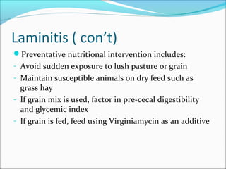 Laminitis ( con’t)
Preventative nutritional intervention includes:
- Avoid sudden exposure to lush pasture or grain
- Maintain susceptible animals on dry feed such as
grass hay
- If grain mix is used, factor in pre-cecal digestibility
and glycemic index
- If grain is fed, feed using Virginiamycin as an additive
 