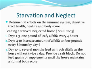 Starvation and Neglect
Detrimental effects on the immune system, digestive
tract health, healing and body score
Feeding a starved, neglected horse ( Stull, 2003)
1. Days 1-3 one pound of leafy alfalfa every 4 hours
2.Days 4-10 increase amount of alfalfa to four pounds
every 8 hours by day 6
3. Day 10 to several months feed as much alfalfa as the
horse will eat twice a day. Provide a salt block. Do not
feed grains or supplements until the horse maintains
a normal body score
 
