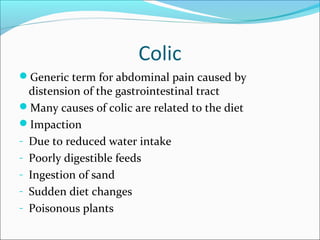 Colic
Generic term for abdominal pain caused by
distension of the gastrointestinal tract
Many causes of colic are related to the diet
Impaction
- Due to reduced water intake
- Poorly digestible feeds
- Ingestion of sand
- Sudden diet changes
- Poisonous plants
 