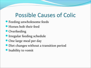 Possible Causes of Colic
Feeding unwholesome feeds
Horses bolt their feed
Overfeeding
Irregular feeding schedule
One large meal per day
Diet changes without a transition period
Inability to vomit
 