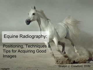 Equine Radiography:
Positioning, Techniques &
Tips for Acquiring Good
Images
Shalyn J. Crawford, DVM
 