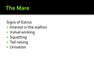 The MareSigns of EstrusInterest in the stallionVulval winkingSquattingTail raisingUrination