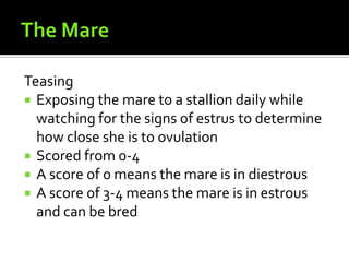 The MareTeasingExposing the mare to a stallion daily while watching for the signs of estrus to determine how close she is to ovulationScored from 0-4A score of 0 means the mare is in diestrousA score of 3-4 means the mare is in estrous and can be bred