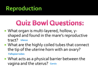 ReproductionQuiz Bowl Questions:What organ is multi-layered, hollow, y-shaped and found in the mare’s reproductive tract?What are the highly coiled tubes that connect the tip of the uterine horn with an ovary?What acts as a physical barrier between the vagina and the uterus?UterusFallopian tubesCervix