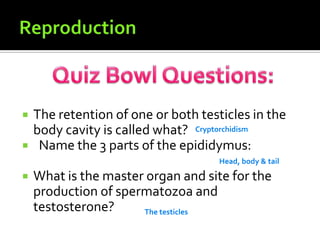 ReproductionQuiz Bowl Questions:The retention of one or both testicles in the body cavity is called what?  Name the 3 parts of the epididymus:What is the master organ and site for the production of spermatozoa and testosterone?   CryptorchidismHead, body & tailThe testicles