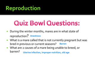 ReproductionQuiz Bowl Questions:During the winter months, mares are in what state of reproduction?  What is a mare called that is not currently pregnant but was bred in previous or current seasons?What are 2 causes of a mare being unable to breed, or barren? AnestrousBarrenUterine infection, improper nutrition, old age