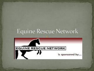 Equine Rescue Network