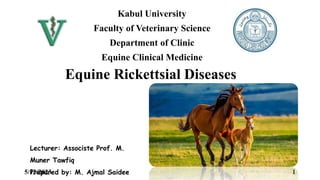 Equine Rickettsial Diseases.pptx