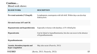 Equine Rickettsial Diseases.pptx