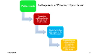 Equine Rickettsial Diseases.pptx