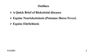 Equine Rickettsial Diseases.pptx