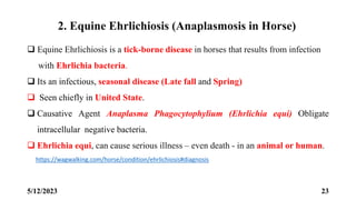 Equine Rickettsial Diseases.pptx