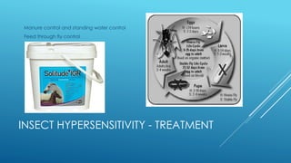 INSECT HYPERSENSITIVITY - TREATMENT
Manure control and standing water control
Feed through fly control
 