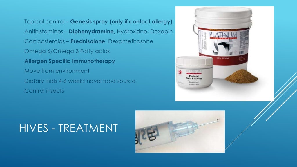 Equine skin allergies