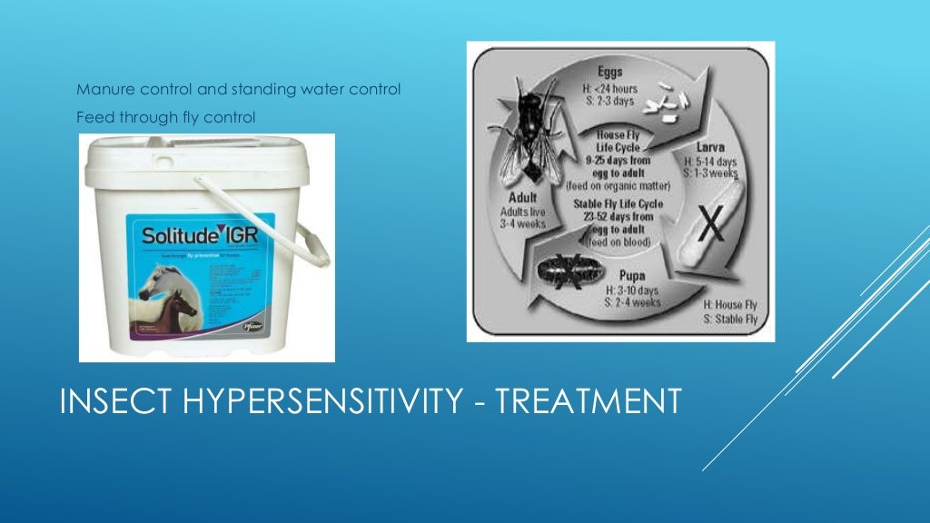 Equine skin allergies