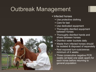Outbreak Management
 Infected horses
 Use protective clothing
 Care for last
 Use dedicated equipment
 Thoroughly disinfect equipment
between horses
 Thoroughly disinfect hands and
shoes between horses
 Disinfect water buckets daily
 Waste from infected horses should
be isolated & disposed of separately
 Rest exposed turn-outs/arenas
minimum of 4 weeks
 Three consecutive negative PCR
swabs (at least one week apart) for
each horse before returning to
general population
 