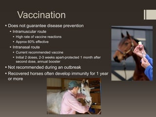 Vaccination
 Does not guarantee disease prevention
 Intramuscular route
 High rate of vaccine reactions
 Approx 60% effective
 Intranasal route
 Current recommended vaccine
 Initial 2 doses, 2-3 weeks apart-protected 1 month after
second dose, annual booster
 Not recommended during an outbreak
 Recovered horses often develop immunity for 1 year
or more
 