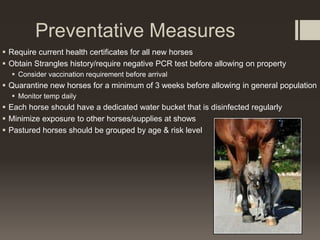 Preventative Measures
 Require current health certificates for all new horses
 Obtain Strangles history/require negative PCR test before allowing on property
 Consider vaccination requirement before arrival
 Quarantine new horses for a minimum of 3 weeks before allowing in general population
 Monitor temp daily
 Each horse should have a dedicated water bucket that is disinfected regularly
 Minimize exposure to other horses/supplies at shows
 Pastured horses should be grouped by age & risk level
 